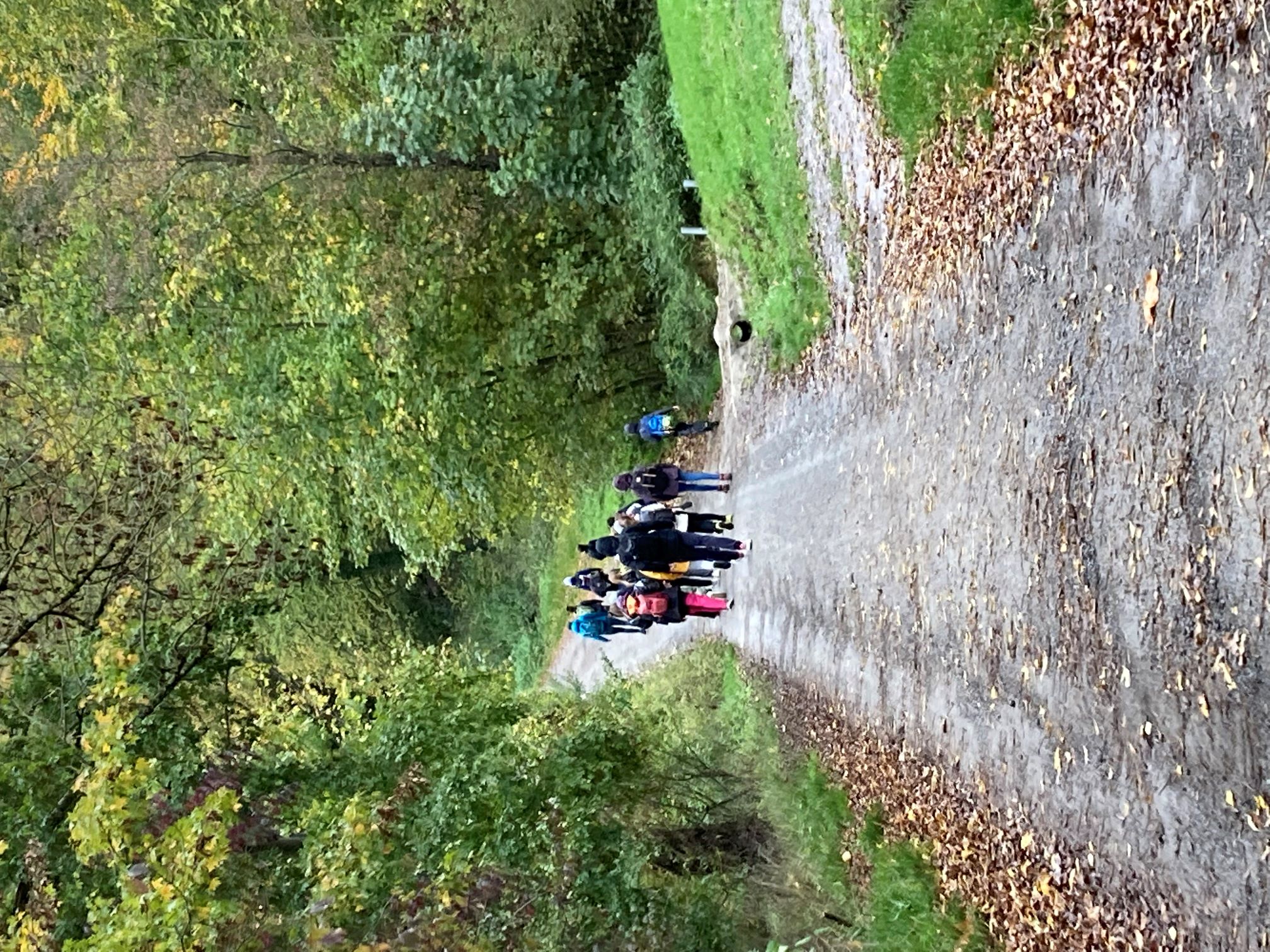 2022 10 26 Waldtag 2 kleiner