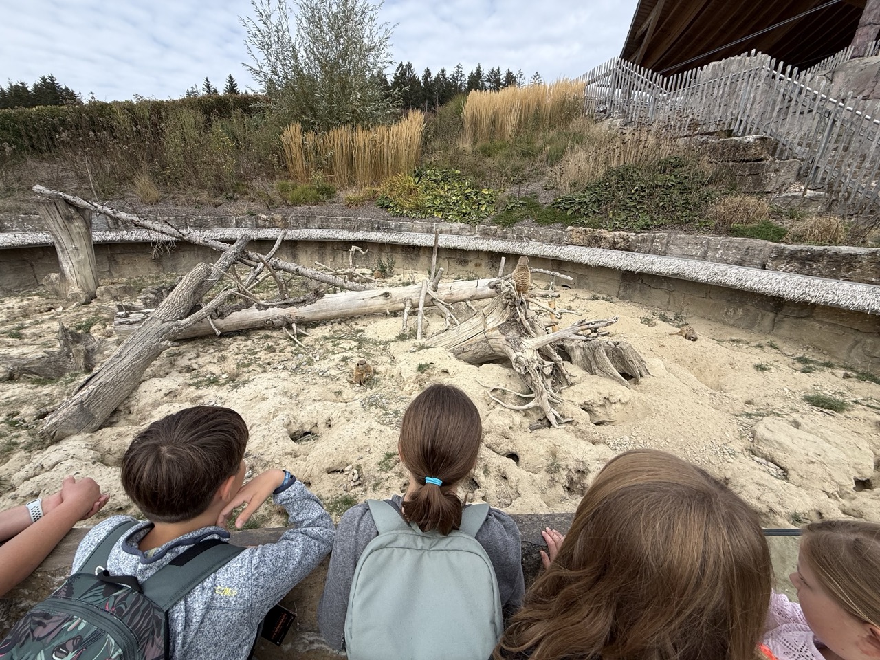 Schullandheim 2026 15 Tatz